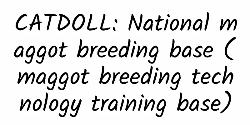 CATDOLL: National maggot breeding base (maggot breeding technology training base)