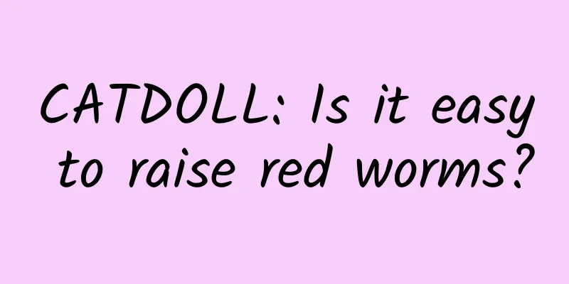 CATDOLL: Is it easy to raise red worms?