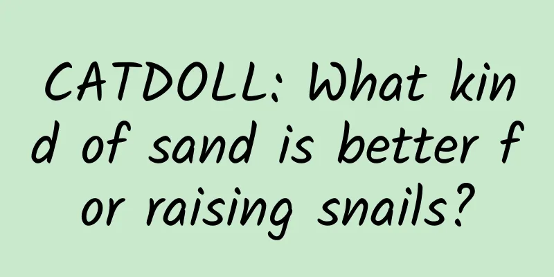 CATDOLL: What kind of sand is better for raising snails?