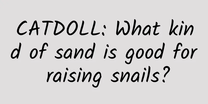CATDOLL: What kind of sand is good for raising snails?