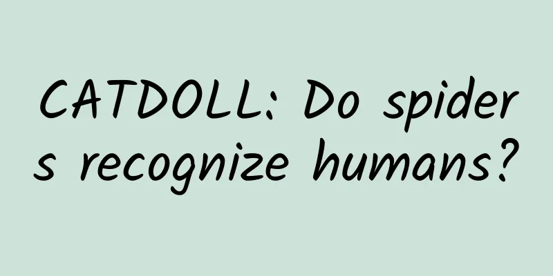 CATDOLL: Do spiders recognize humans?