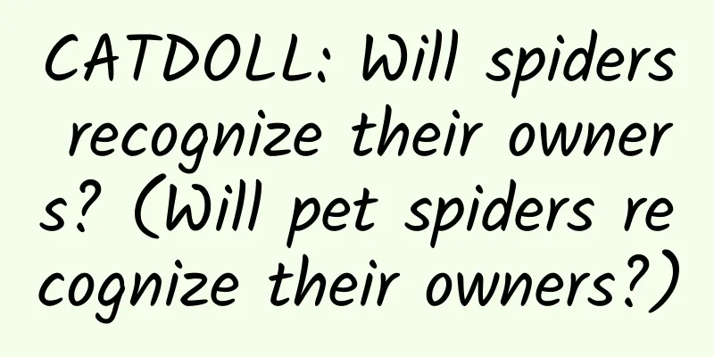 CATDOLL: Will spiders recognize their owners? (Will pet spiders recognize their owners?)