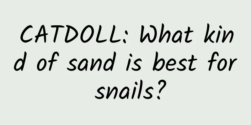 CATDOLL: What kind of sand is best for snails?