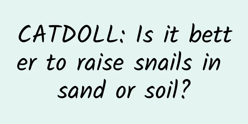 CATDOLL: Is it better to raise snails in sand or soil?