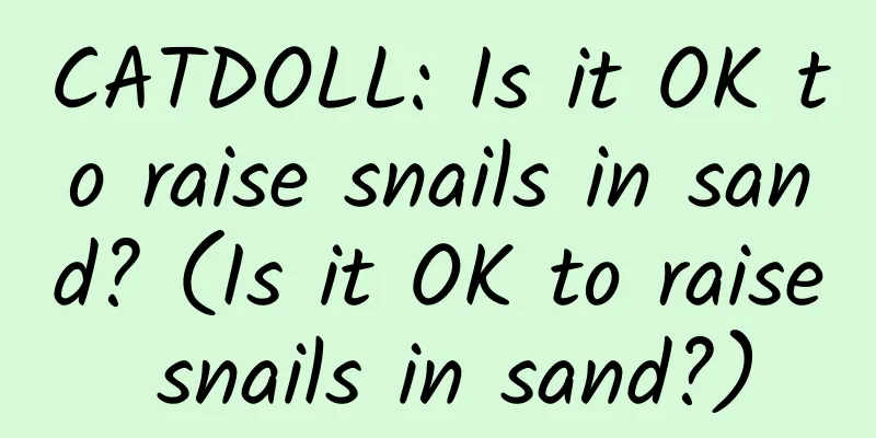 CATDOLL: Is it OK to raise snails in sand? (Is it OK to raise snails in sand?)