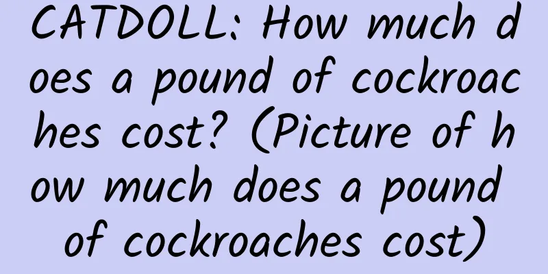 CATDOLL: How much does a pound of cockroaches cost? (Picture of how much does a pound of cockroaches cost)