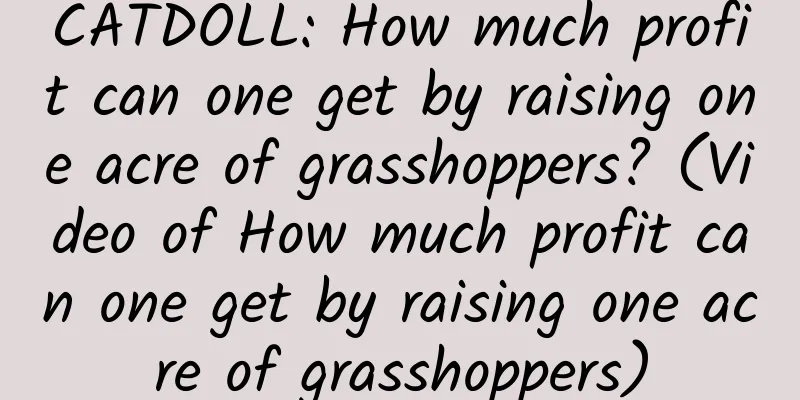CATDOLL: How much profit can one get by raising one acre of grasshoppers? (Video of How much profit can one get by raising one acre of grasshoppers)