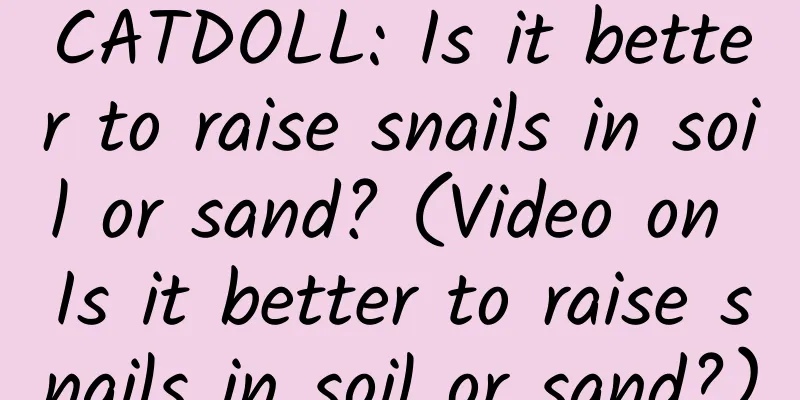 CATDOLL: Is it better to raise snails in soil or sand? (Video on Is it better to raise snails in soil or sand?)