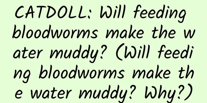 CATDOLL: Will feeding bloodworms make the water muddy? (Will feeding bloodworms make the water muddy? Why?)