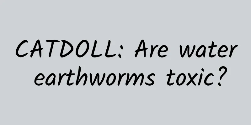 CATDOLL: Are water earthworms toxic?