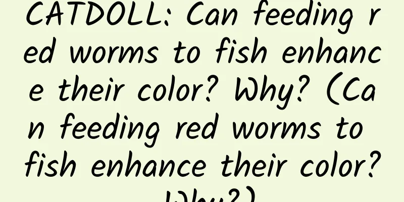 CATDOLL: Can feeding red worms to fish enhance their color? Why? (Can feeding red worms to fish enhance their color? Why?)