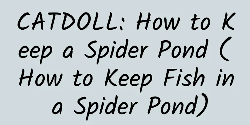 CATDOLL: How to Keep a Spider Pond (How to Keep Fish in a Spider Pond)
