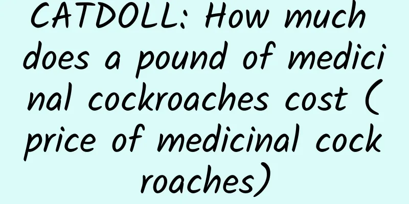 CATDOLL: How much does a pound of medicinal cockroaches cost (price of medicinal cockroaches)