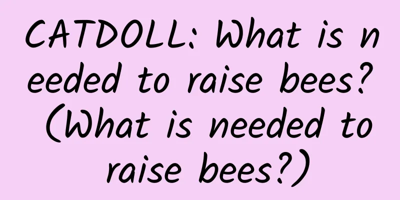 CATDOLL: What is needed to raise bees? (What is needed to raise bees?)