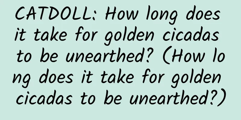 CATDOLL: How long does it take for golden cicadas to be unearthed? (How long does it take for golden cicadas to be unearthed?)
