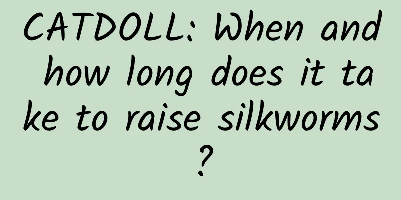 CATDOLL: When and how long does it take to raise silkworms?