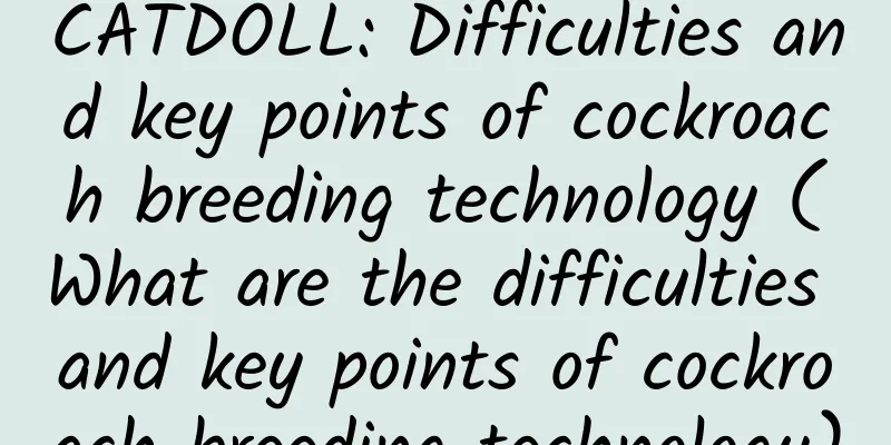 CATDOLL: Difficulties and key points of cockroach breeding technology (What are the difficulties and key points of cockroach breeding technology)