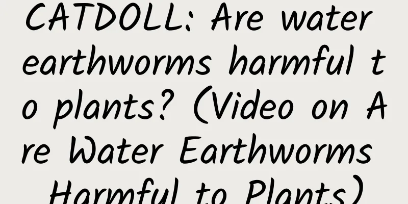 CATDOLL: Are water earthworms harmful to plants? (Video on Are Water Earthworms Harmful to Plants)