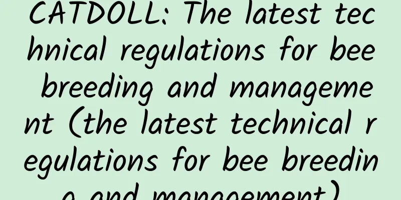 CATDOLL: The latest technical regulations for bee breeding and management (the latest technical regulations for bee breeding and management)