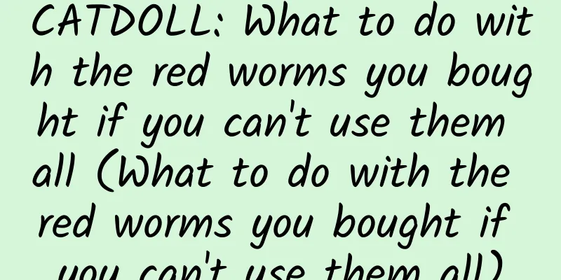 CATDOLL: What to do with the red worms you bought if you can't use them all (What to do with the red worms you bought if you can't use them all)