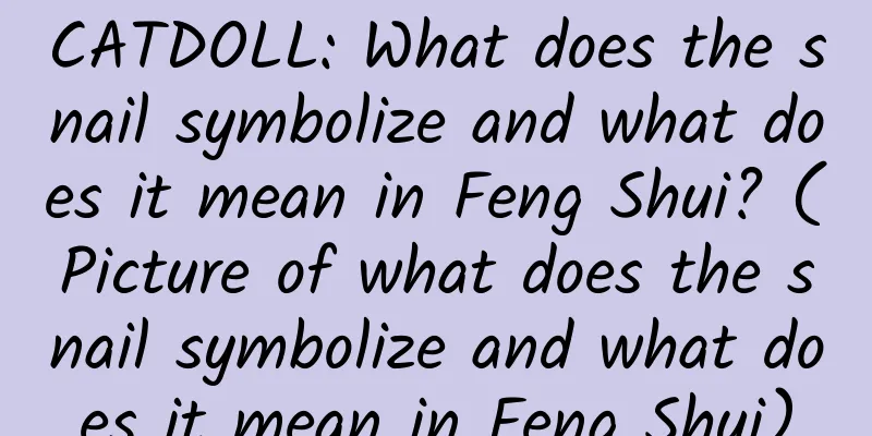 CATDOLL: What does the snail symbolize and what does it mean in Feng Shui? (Picture of what does the snail symbolize and what does it mean in Feng Shui)