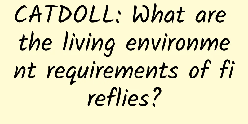 CATDOLL: What are the living environment requirements of fireflies?