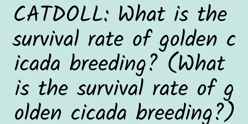 CATDOLL: What is the survival rate of golden cicada breeding? (What is the survival rate of golden cicada breeding?)