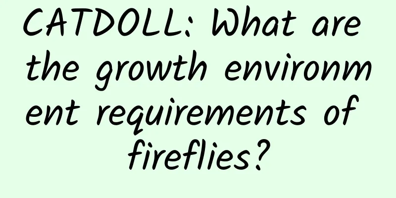 CATDOLL: What are the growth environment requirements of fireflies?