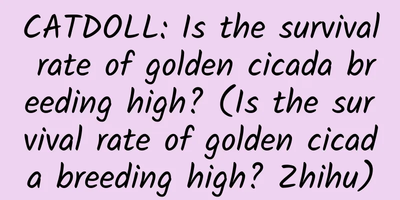 CATDOLL: Is the survival rate of golden cicada breeding high? (Is the survival rate of golden cicada breeding high? Zhihu)