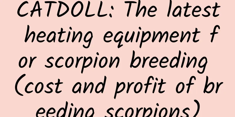 CATDOLL: The latest heating equipment for scorpion breeding (cost and profit of breeding scorpions)