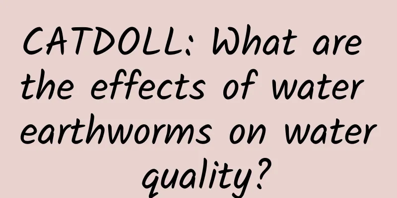 CATDOLL: What are the effects of water earthworms on water quality?