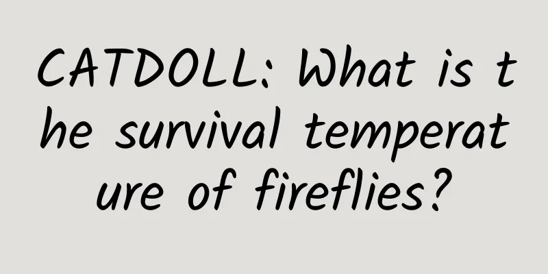 CATDOLL: What is the survival temperature of fireflies?