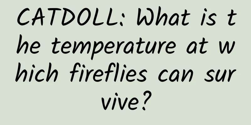 CATDOLL: What is the temperature at which fireflies can survive?