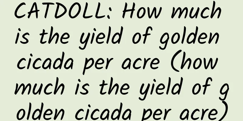 CATDOLL: How much is the yield of golden cicada per acre (how much is the yield of golden cicada per acre)