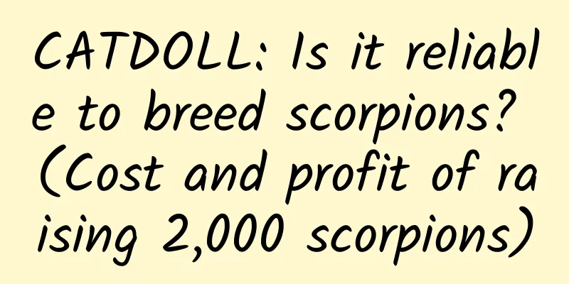 CATDOLL: Is it reliable to breed scorpions? (Cost and profit of raising 2,000 scorpions)