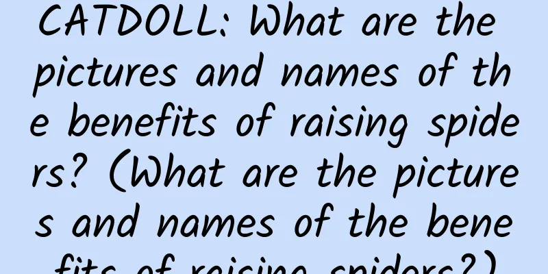 CATDOLL: What are the pictures and names of the benefits of raising spiders? (What are the pictures and names of the benefits of raising spiders?)