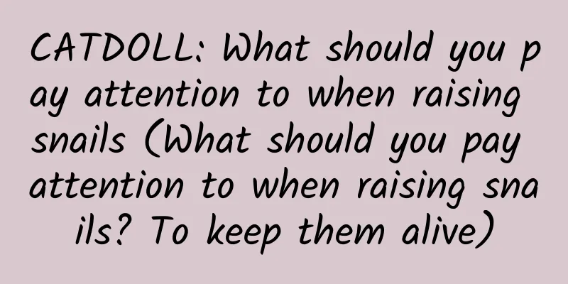 CATDOLL: What should you pay attention to when raising snails (What should you pay attention to when raising snails? To keep them alive)