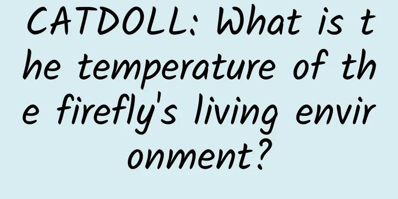 CATDOLL: What is the temperature of the firefly's living environment?