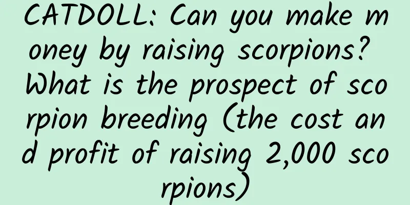 CATDOLL: Can you make money by raising scorpions? What is the prospect of scorpion breeding (the cost and profit of raising 2,000 scorpions)