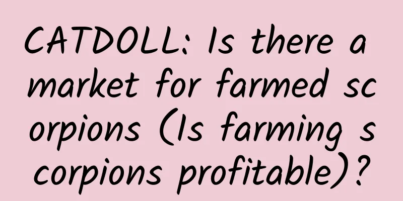 CATDOLL: Is there a market for farmed scorpions (Is farming scorpions profitable)?