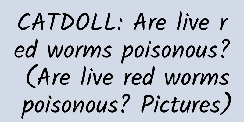 CATDOLL: Are live red worms poisonous? (Are live red worms poisonous? Pictures)
