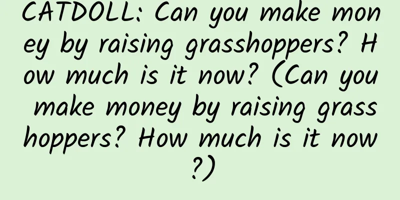 CATDOLL: Can you make money by raising grasshoppers? How much is it now? (Can you make money by raising grasshoppers? How much is it now?)