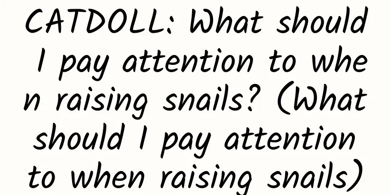 CATDOLL: What should I pay attention to when raising snails? (What should I pay attention to when raising snails)