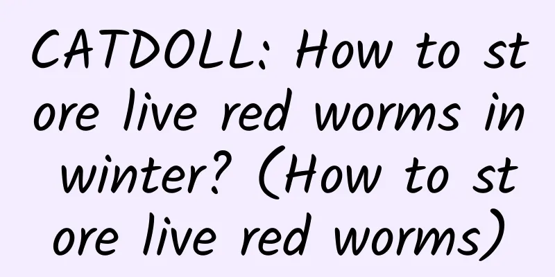 CATDOLL: How to store live red worms in winter? (How to store live red worms)
