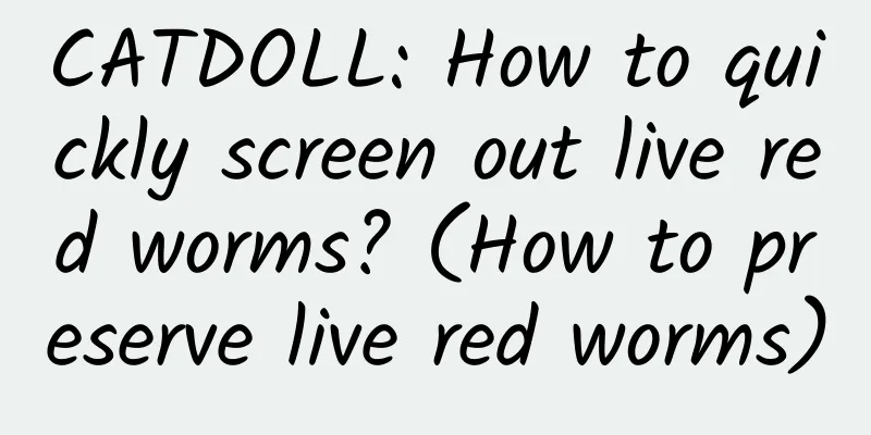 CATDOLL: How to quickly screen out live red worms? (How to preserve live red worms)