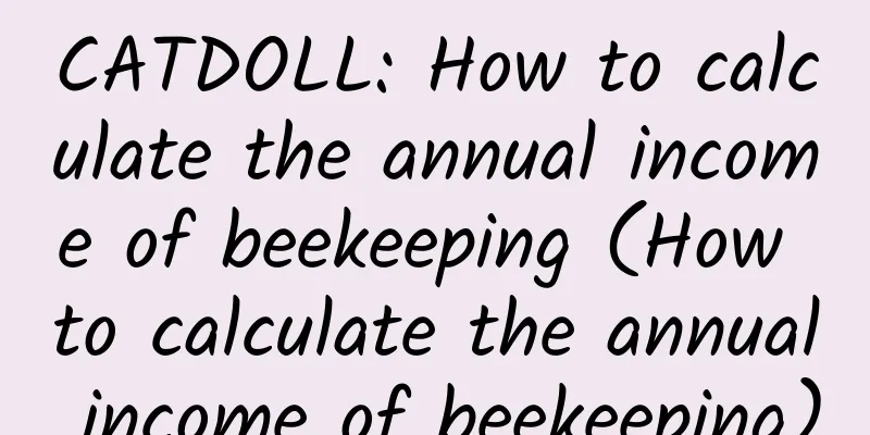 CATDOLL: How to calculate the annual income of beekeeping (How to calculate the annual income of beekeeping)