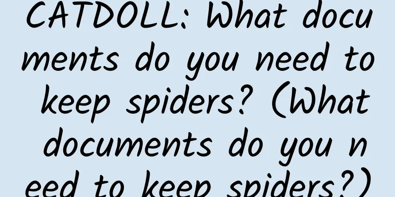 CATDOLL: What documents do you need to keep spiders? (What documents do you need to keep spiders?)