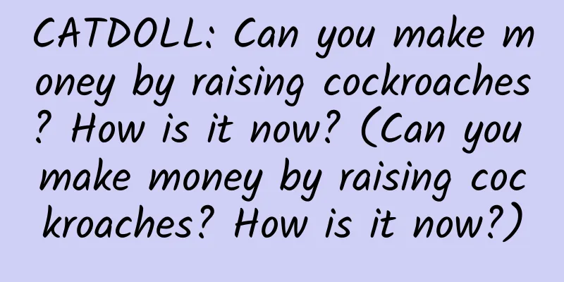 CATDOLL: Can you make money by raising cockroaches? How is it now? (Can you make money by raising cockroaches? How is it now?)