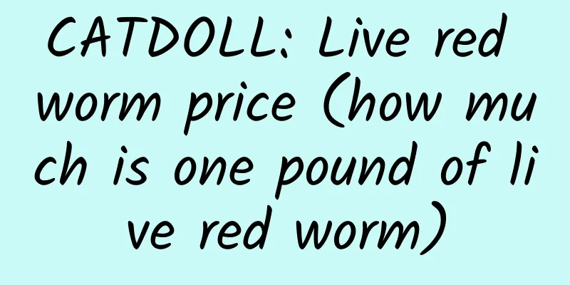 CATDOLL: Live red worm price (how much is one pound of live red worm)