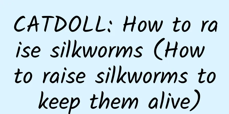 CATDOLL: How to raise silkworms (How to raise silkworms to keep them alive)